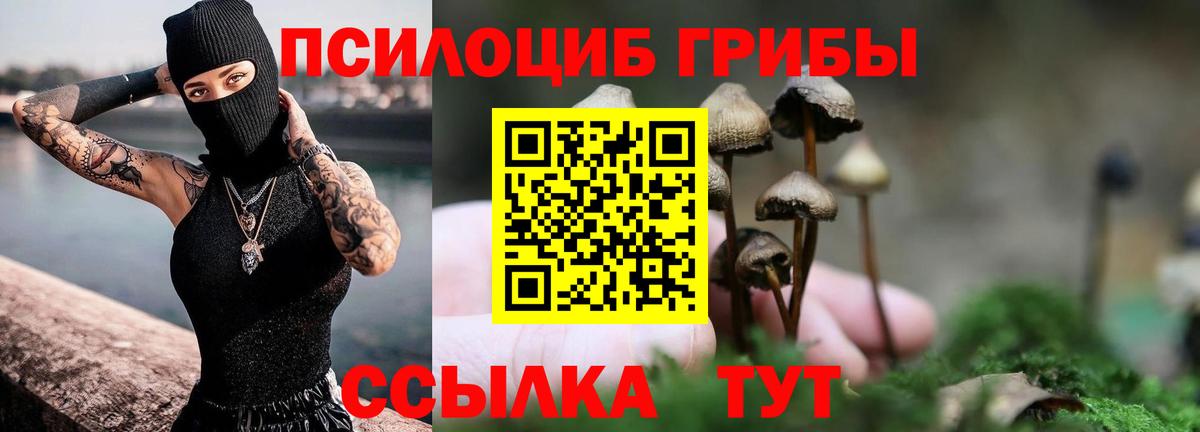 Псилоцибиновые грибы мухоморы  купить   Вход с VPN  Каменка  Галлюциногенные грибы GOLDEN TEACHER 